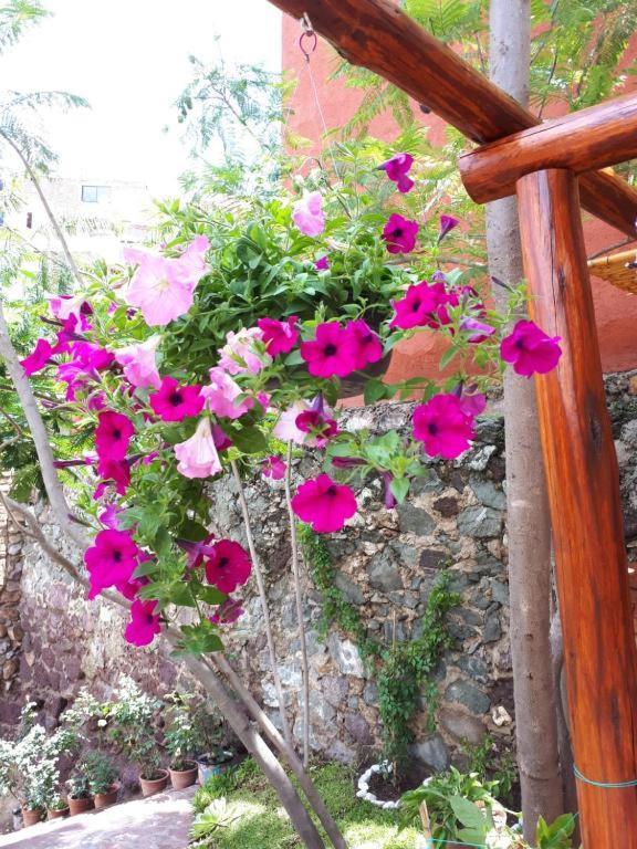 Casita Privada Del Chan Guanajuato Exteriör bild