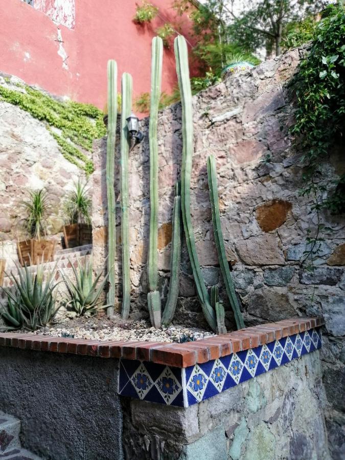 Casita Privada Del Chan Guanajuato Exteriör bild
